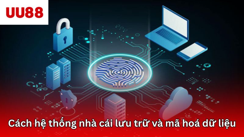 Cách hệ thống nhà cái lưu trữ và mã hoá dữ liệu