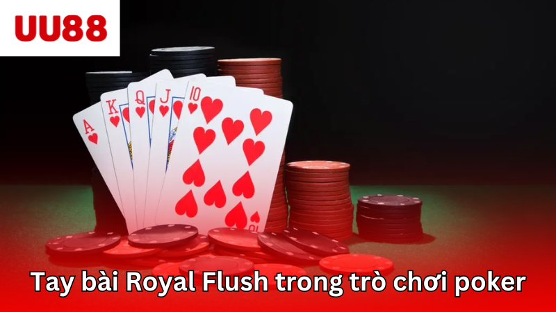 Hướng dẫn mẹo nhớ nhanh các thuật ngữ poker